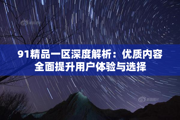91精品一区深度解析：优质内容全面提升用户体验与选择