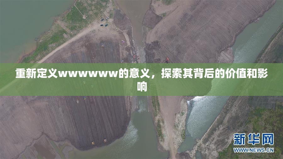 重新定义wwwwww的意义，探索其背后的价值和影响