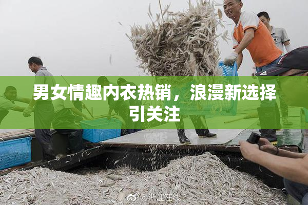 男女情趣内衣热销，浪漫新选择引关注
