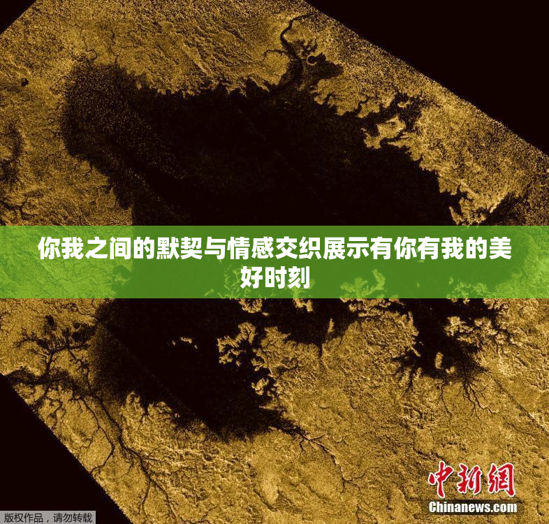 你我之间的默契与情感交织展示有你有我的美好时刻