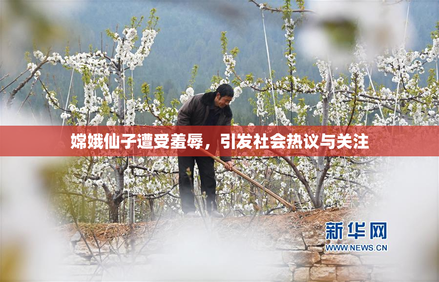 嫦娥仙子遭受羞辱，引发社会热议与关注