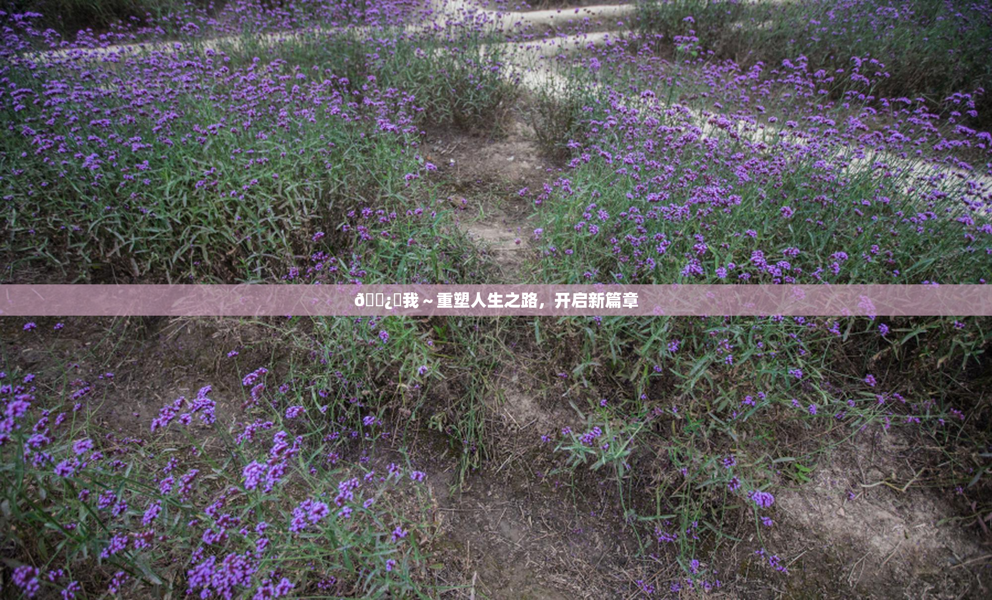 🌿‌我～重塑人生之路，开启新篇章