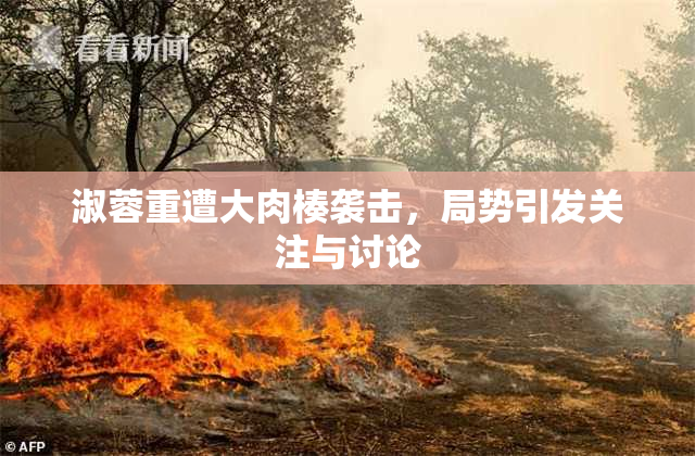 淑蓉重遭大肉楱袭击，局势引发关注与讨论