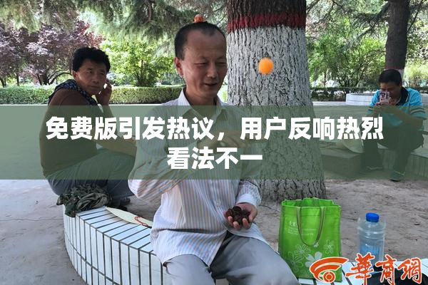 免费版引发热议，用户反响热烈看法不一