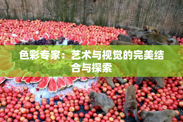 色彩专家：艺术与视觉的完美结合与探索