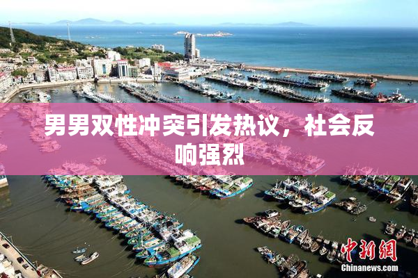 男男双性冲突引发热议，社会反响强烈