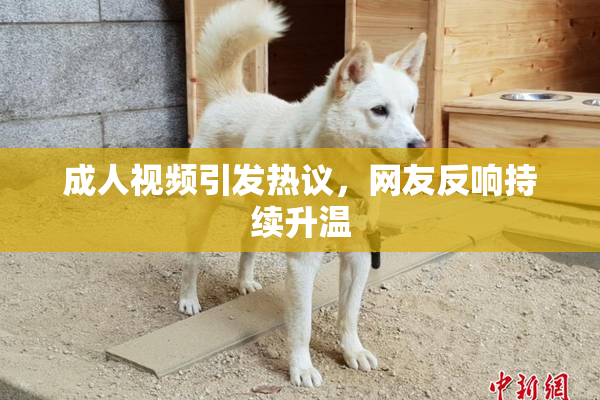 成人视频引发热议，网友反响持续升温
