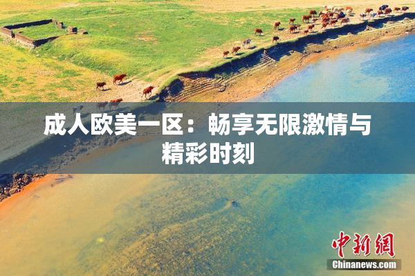 成人欧美一区：畅享无限激情与精彩时刻