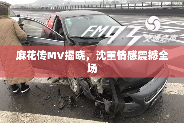 麻花传MV揭晓，沈重情感震撼全场