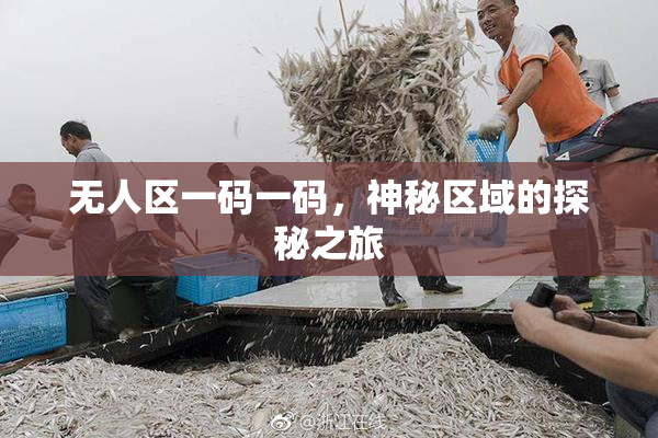 无人区一码一码，神秘区域的探秘之旅