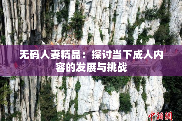 无码人妻精品：探讨当下成人内容的发展与挑战