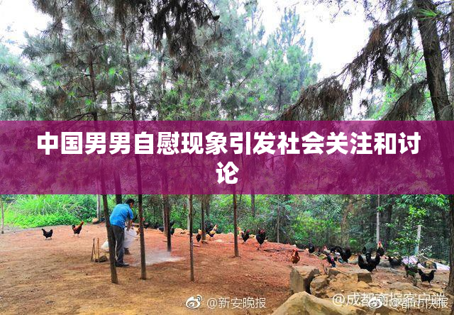 中国男男自慰现象引发社会关注和讨论
