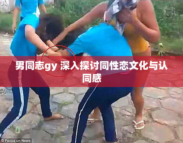 男同志gy 深入探讨同性恋文化与认同感