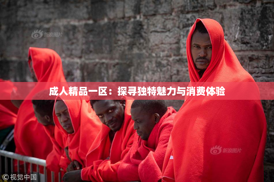 成人精品一区：探寻独特魅力与消费体验