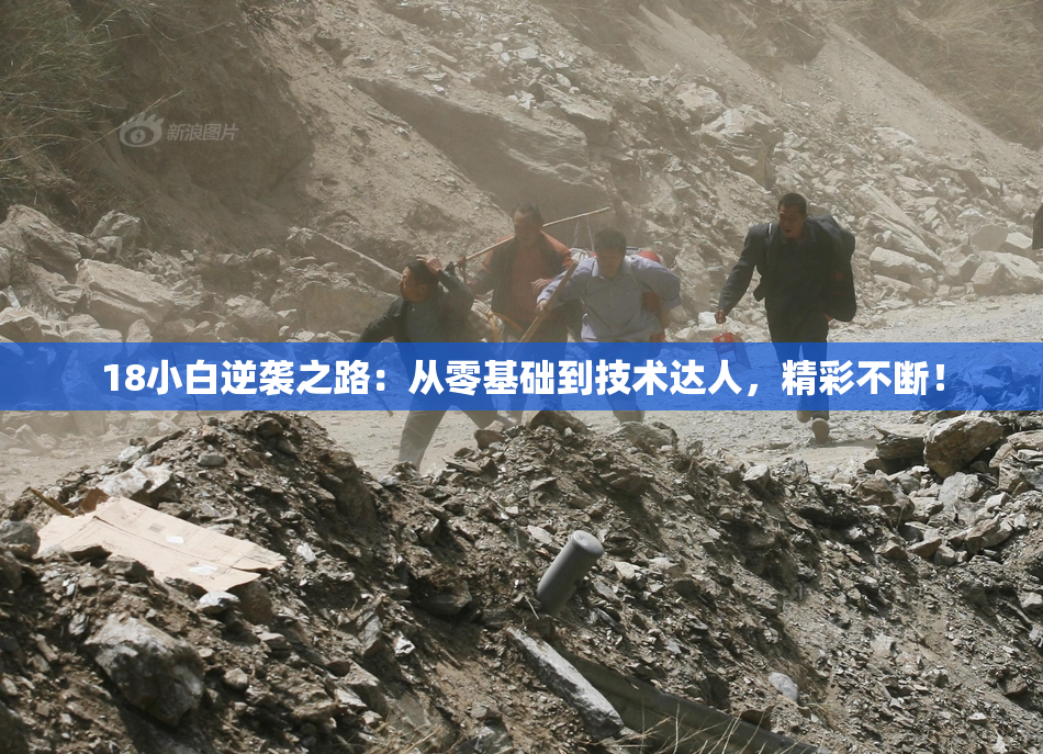 18小白逆袭之路：从零基础到技术达人，精彩不断！