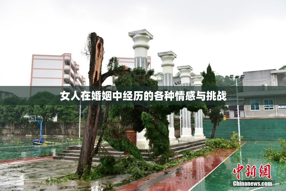 女人在婚姻中经历的各种情感与挑战