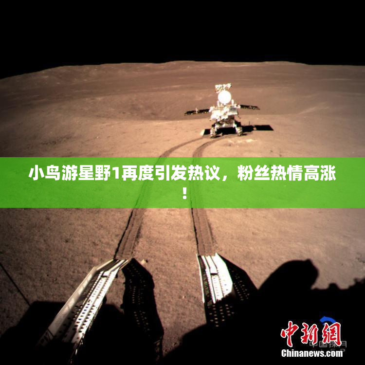小鸟游星野1再度引发热议，粉丝热情高涨！