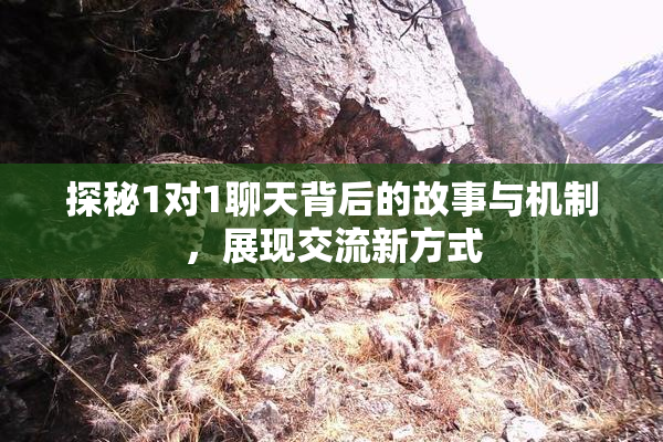 探秘1对1聊天背后的故事与机制，展现交流新方式
