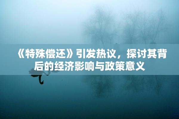 《特殊偿还》引发热议，探讨其背后的经济影响与政策意义