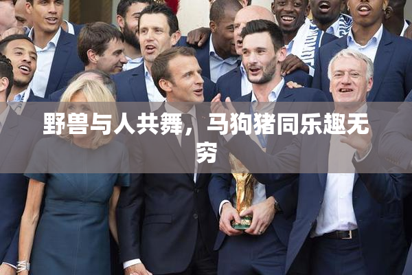 野兽与人共舞，马狗猪同乐趣无穷