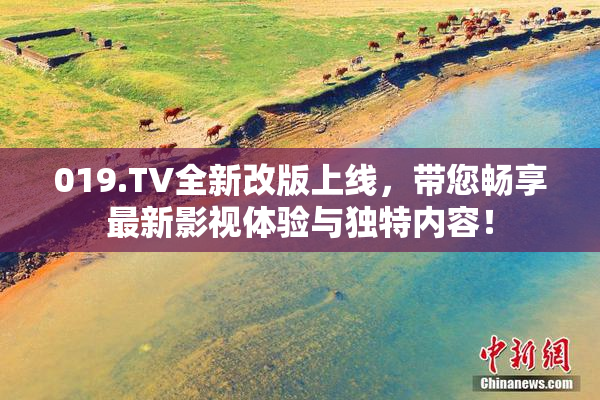 019.TV全新改版上线，带您畅享最新影视体验与独特内容！