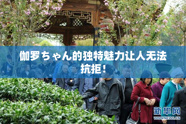 伽罗ちゃん的独特魅力让人无法抗拒！