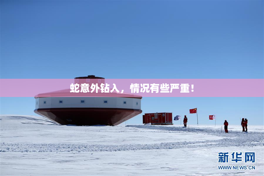 蛇意外钻入，情况有些严重！
