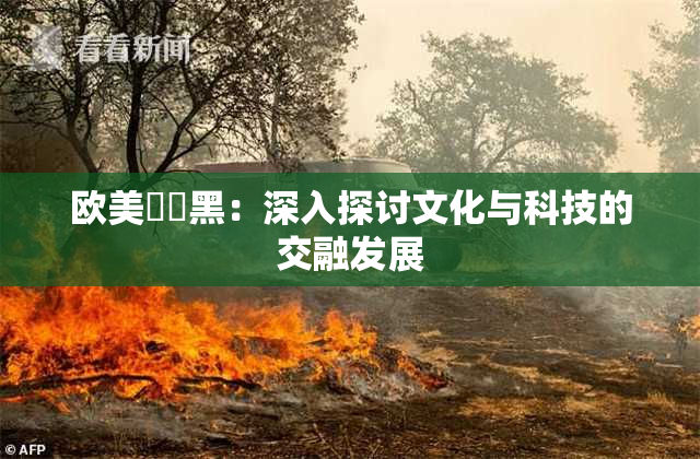 欧美❌‌黑：深入探讨文化与科技的交融发展
