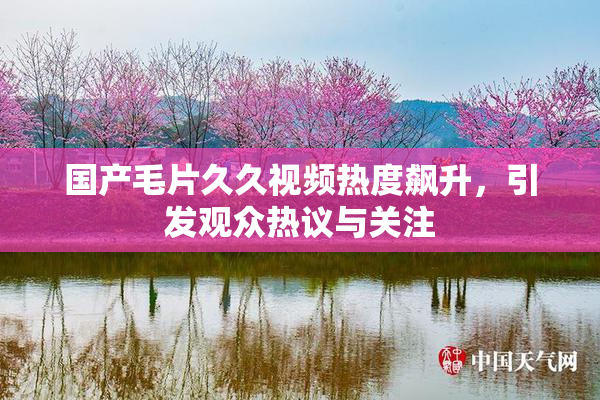 国产毛片久久视频热度飙升，引发观众热议与关注