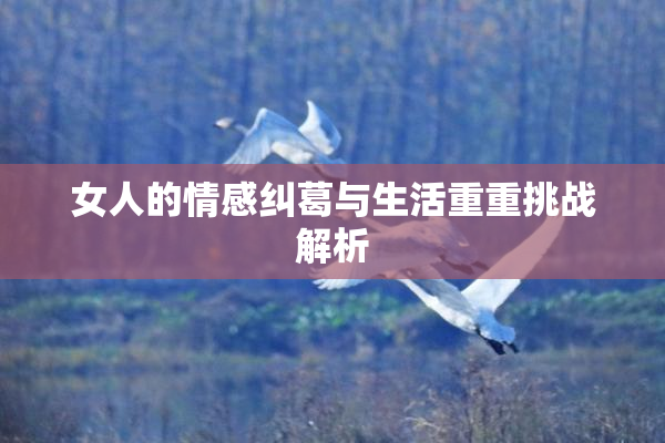 女人的情感纠葛与生活重重挑战解析