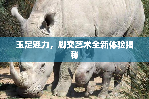 玉足魅力，脚交艺术全新体验揭秘