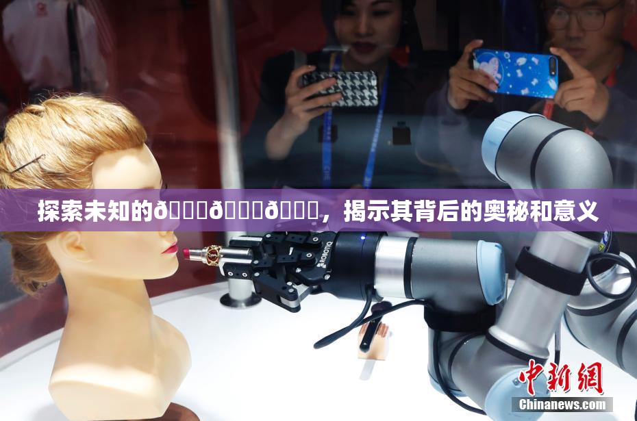 探索未知的🍆🍑🔞，揭示其背后的奥秘和意义