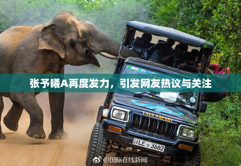 张予曦A再度发力，引发网友热议与关注