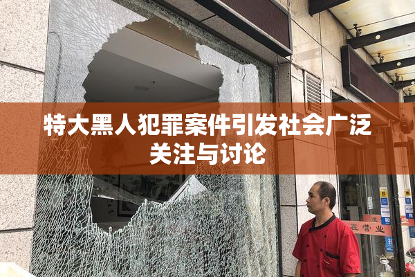 特大黑人犯罪案件引发社会广泛关注与讨论