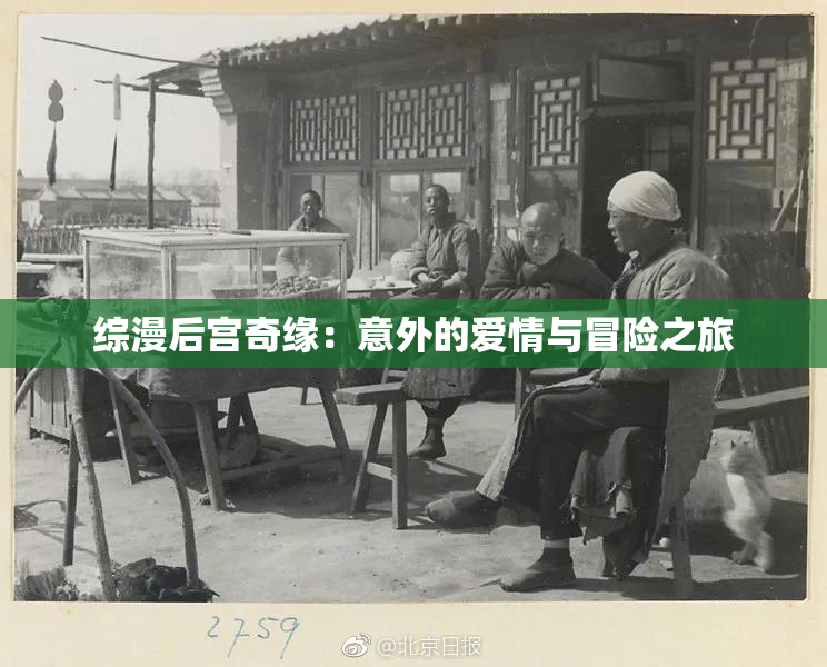 综漫后宫奇缘：意外的爱情与冒险之旅