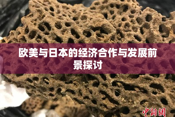 欧美与日本的经济合作与发展前景探讨
