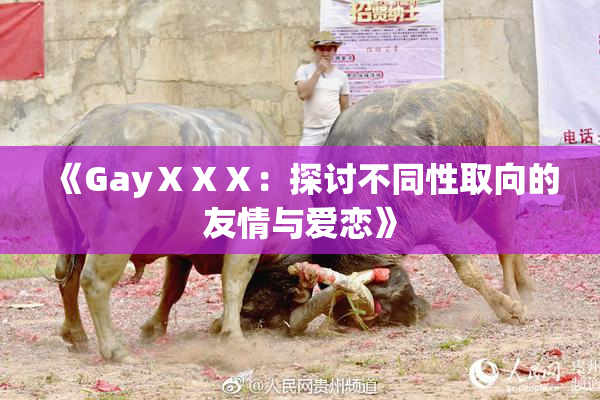 《GayⅩⅩⅩ：探讨不同性取向的友情与爱恋》