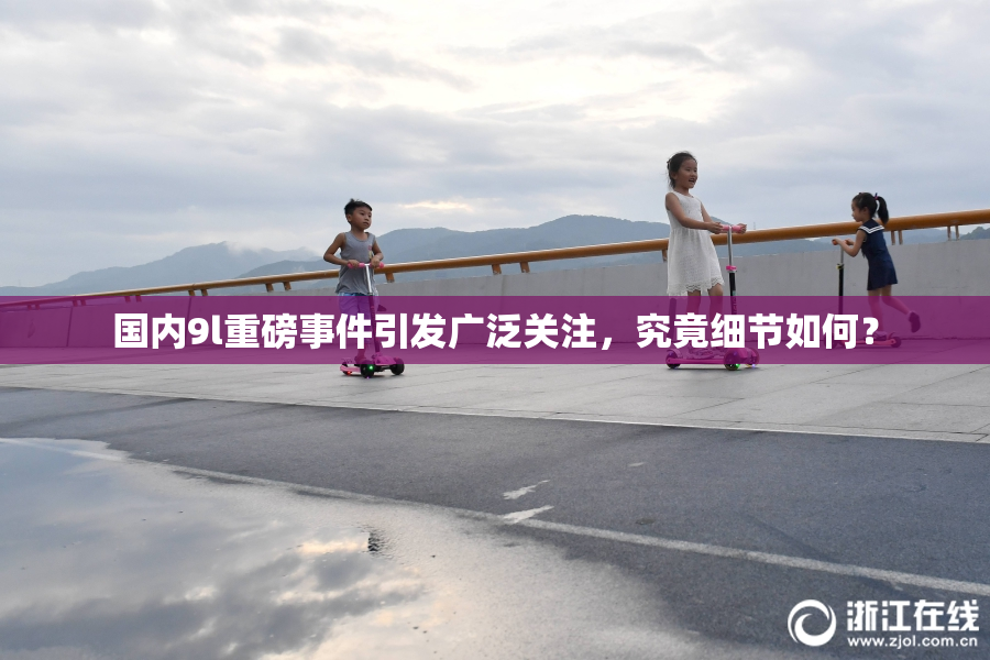 国内9l重磅事件引发广泛关注，究竟细节如何？
