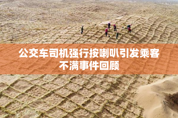 公交车司机强行按喇叭引发乘客不满事件回顾