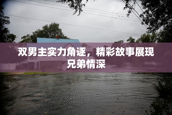 双男主实力角逐，精彩故事展现兄弟情深