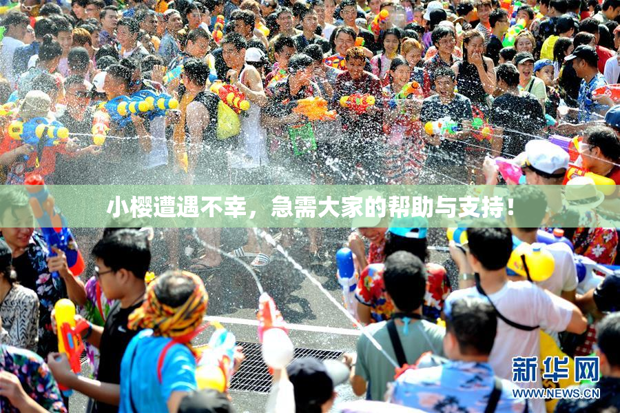 小樱遭遇不幸，急需大家的帮助与支持！