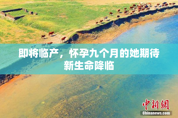 即将临产，怀孕九个月的她期待新生命降临