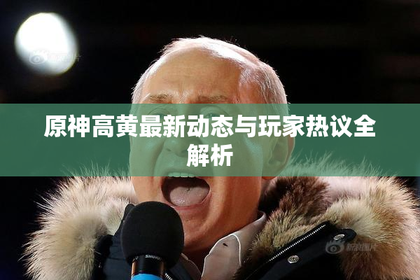 原神高黄最新动态与玩家热议全解析