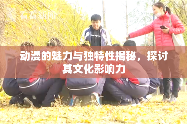 动漫的魅力与独特性揭秘，探讨其文化影响力