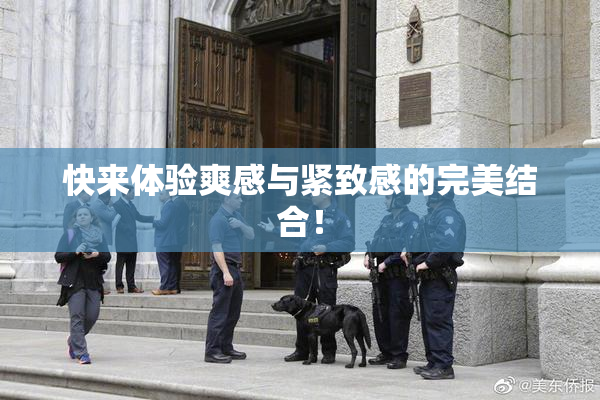 快来体验爽感与紧致感的完美结合！
