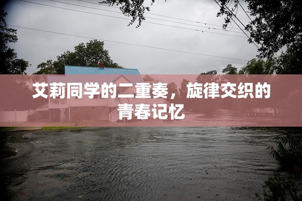艾莉同学的二重奏，旋律交织的青春记忆
