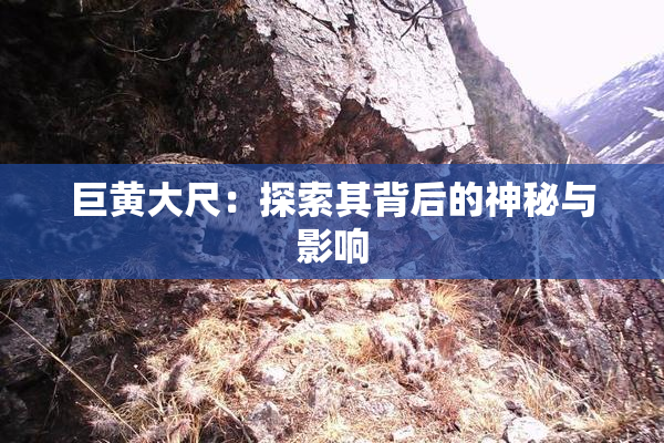 巨黄大尺：探索其背后的神秘与影响