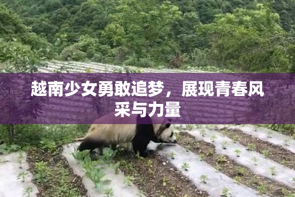 越南少女勇敢追梦，展现青春风采与力量