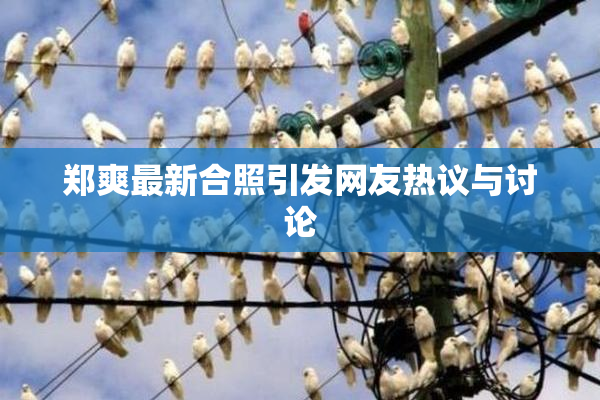 郑爽最新合照引发网友热议与讨论