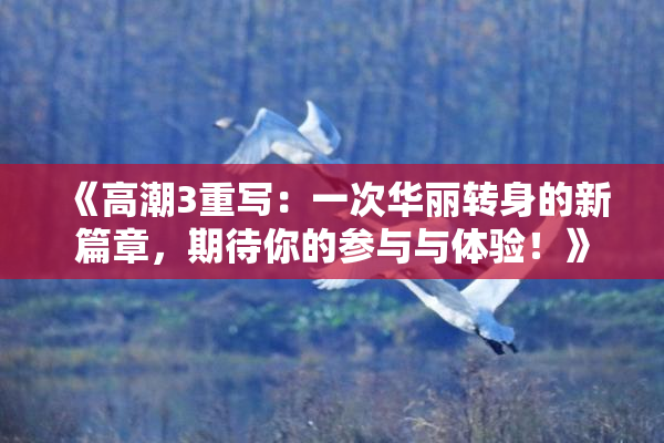 《高潮3重写：一次华丽转身的新篇章，期待你的参与与体验！》